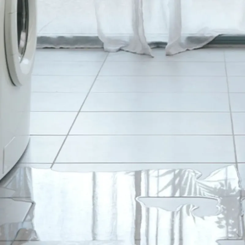 Appliance Leak Cleanup in Ester, AK