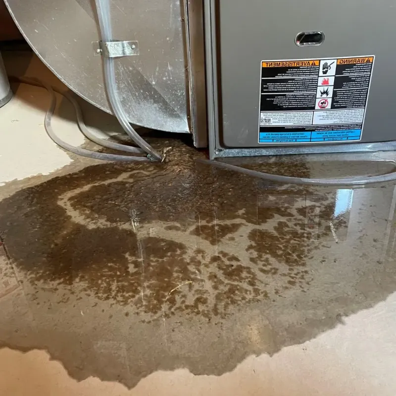 Pipe Burst and Leak Restoration in Ester, AK